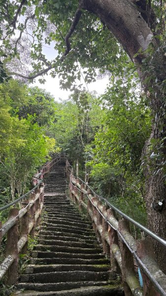 941（旗尾山2905661