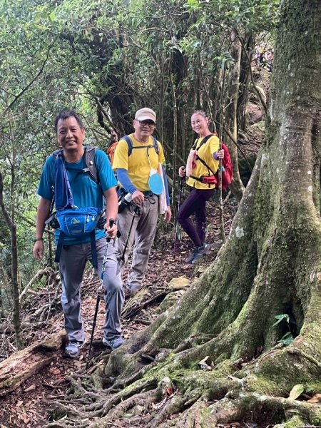 加里山P縱202506222818627