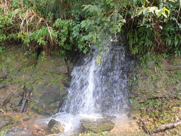 汐止和平鴿健走○型路線2882033