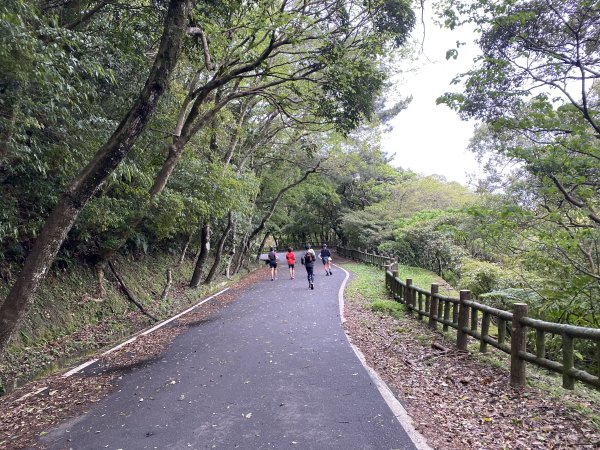 《走進竹子湖的清晨｜慢跑+美食＋泡湯享悠閒》2852691