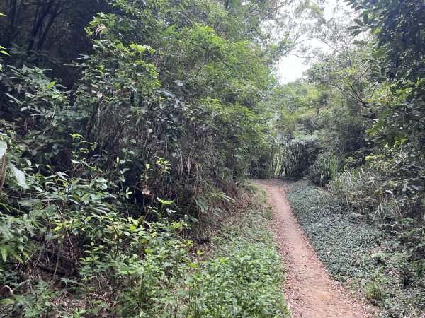 [皮皮獅探險隊-04/10] 2025_0706 三段崎古道2831749