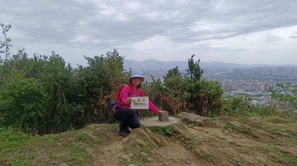 (姨婆趴趴走)第五十集:新北樹林大同山、青龍嶺、大棟山諸峰連走2751579