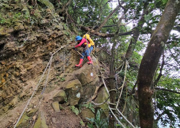 【苗栗郊山聖稜線】仙神象18連峰大縱走2675862