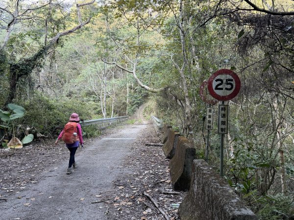 谷關 白毛山-逆O繞 202603153018968