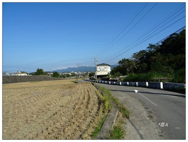 茄苳崑尾山(九華山)1536836