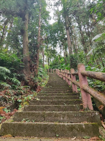 苗栗獅潭鳴鳳古道2929620