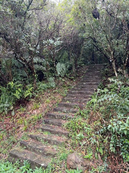 新北 汐止 柯子林橋-柯子林天然泳池-友蚋山南峰-友蚋山-新山-夢湖-柯子林橋2988385