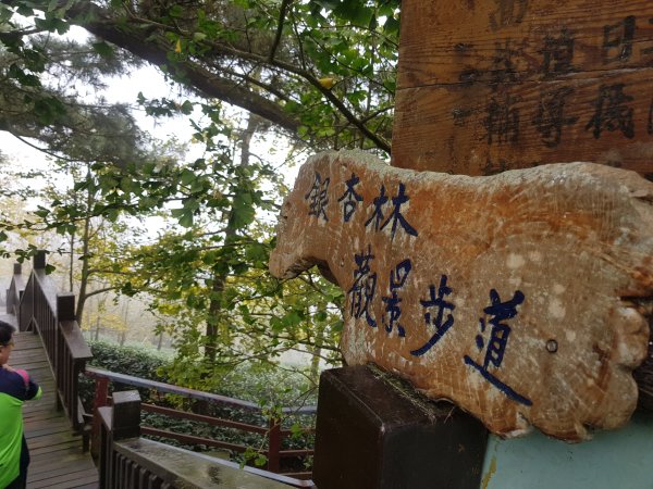 ~ 武岫農圃銀杏林觀景步道 ~722888