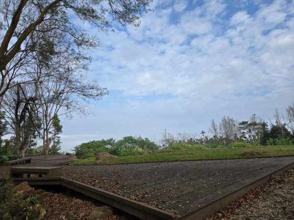 石硦林場（桶頭山）2991263