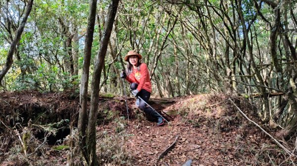 新康五天~戒茂斯進，出瓦拉米2949610