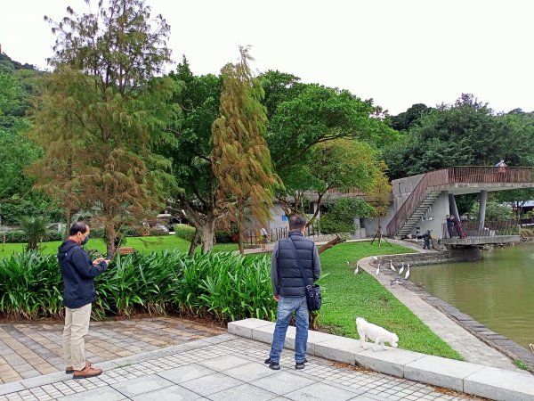 大湖公園 (防災公園)【走路趣尋寶】1899862