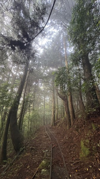 加里山3042799