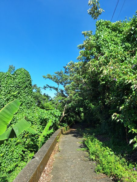 挑水古道+十八觀音步道+大峰巷步道+碧山古道O型11309152594622