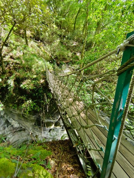 兩颱風之間空擋登屏風山巧遇保育類動物+出大景2237832