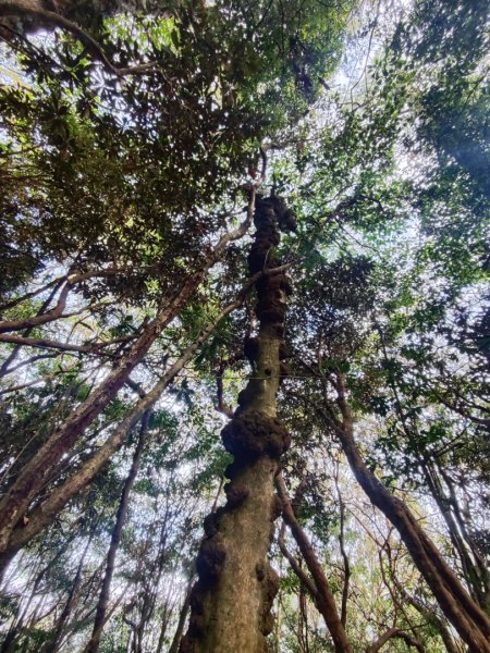 橫沙笛縱走2668685