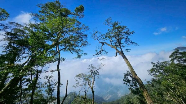 20251106北大武山步道☁️ 喜多麗雲海2931374