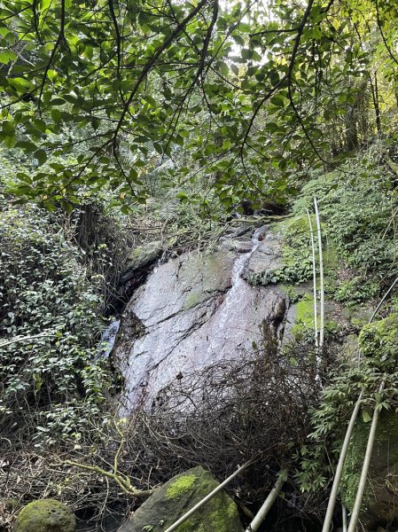 楓樹湖古道3012060