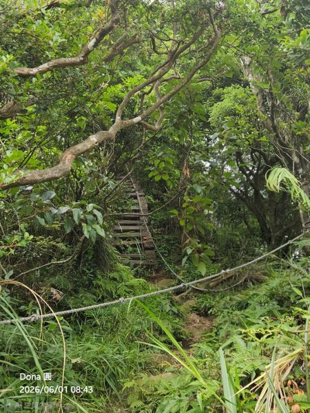 新店小百岳獅頭山+古蹟遺址O走3071934