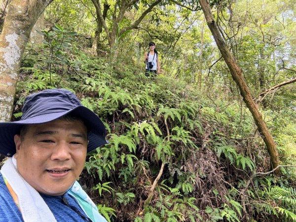 三段崎古道2835528