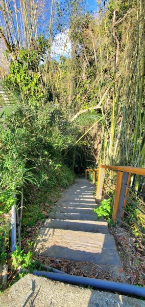 2025-01-30迷糊步道2704463