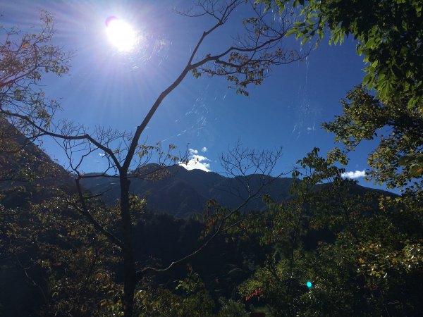 20161119_谷關七雄之四-波津加山873759