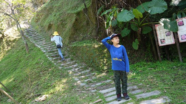 鬼子瀨尖山登山健行趣（郊山）1559018