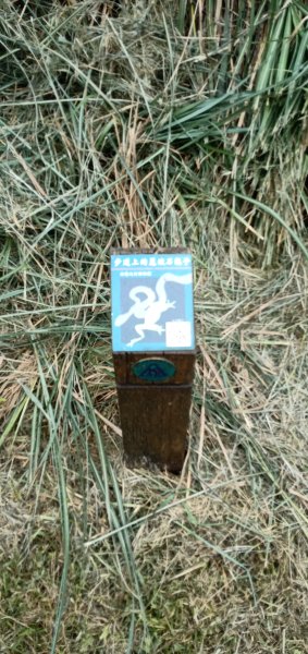 2019-07-02 七星山2792243