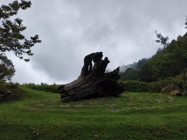[玉山尋寶任務-08/12] 2025_0824 鹿林山步道_鹿林山2870794