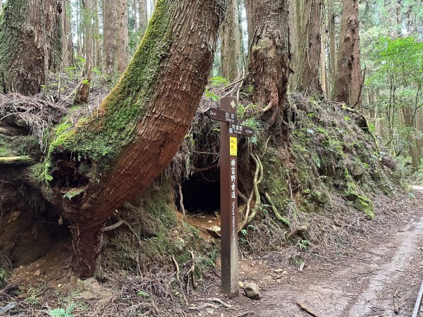 漫步特富野古道2371478