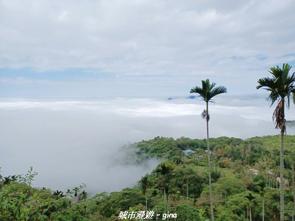 【台南。 楠西】滿滿的雲海太驚豔。 小百岳集起來。 編號67小百岳~竹子尖山步道1605904
