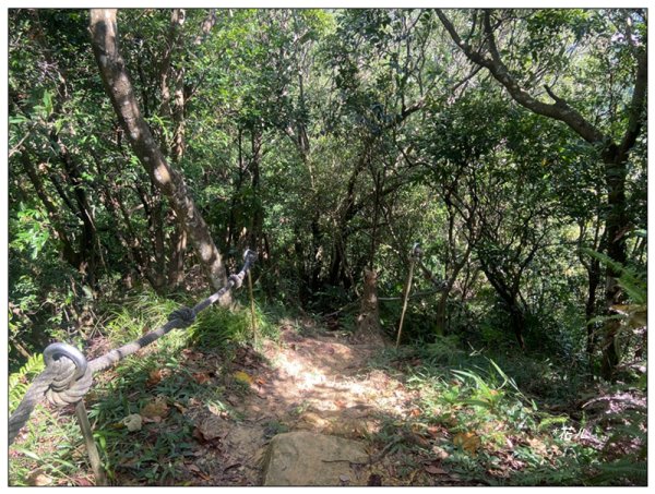 金龍湖、鷹石尖、老鷲尖、內溝山 O型一圈2966606