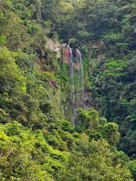 小百岳集起來-三角崙山2185364