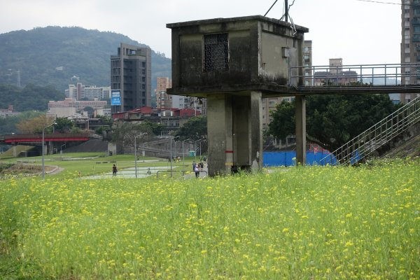 道南右岸河濱公園855971