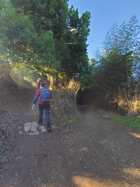 【苗粟 | 馬拉邦山】1227229