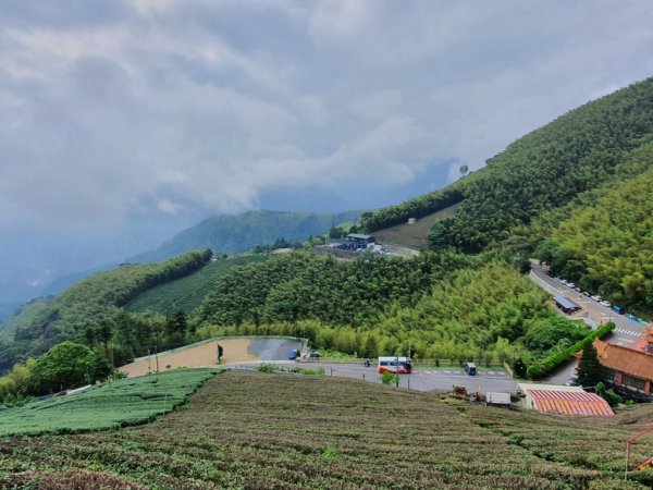 【雲嘉】連峰茶道之美1717471