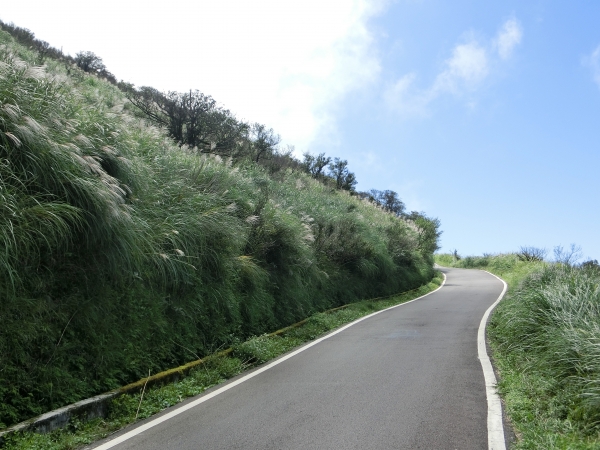 大屯坪．大屯山主峰94882