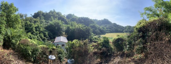 20251122高雄河埧寮2945281