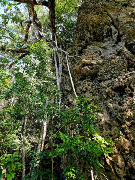 墾丁國家森林遊樂區步道群-(屏東)臺灣百大必訪步道2731246