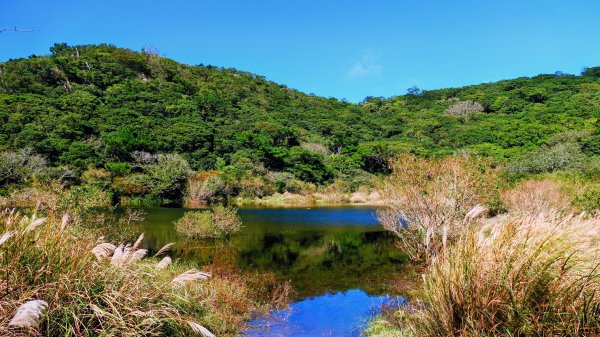 向天蝦不蝦2936808