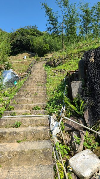 2022-0406 大崎頭步道_瑪礁古道_2號碉堡_內雙溪古道山路_北五指山_高頂山_荷蘭古道1665058