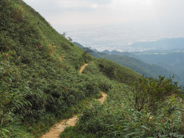 [宜蘭]五峰旗-聖母山莊-三角崙山820494