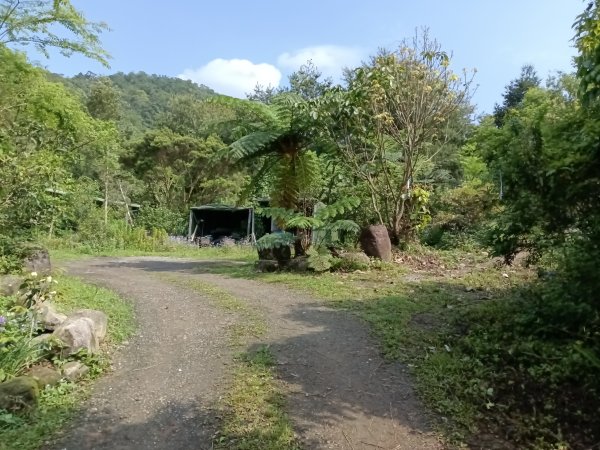 雙溪區三叉港+遠景古道+楊廷理古道+雞母嶺街O型2758621