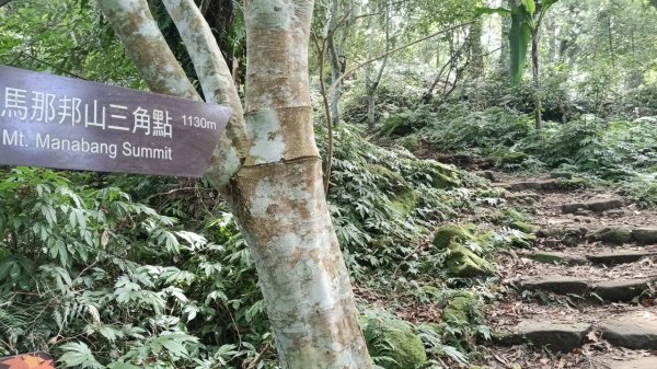 20251004 馬那邦山 - 珠湖 登山口2904818