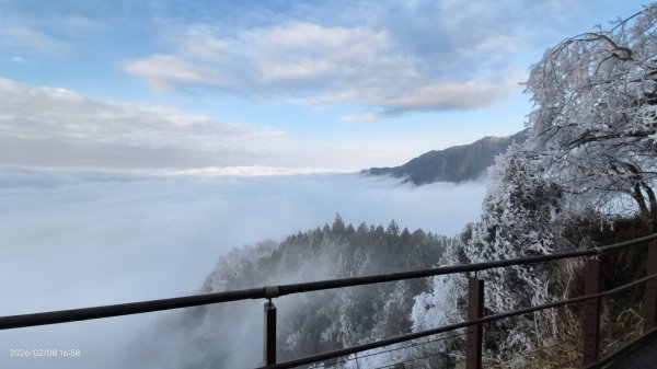 #霧淞 #雲海 #雲瀑 #霧虹 #太平山 #望洋山 #觀雲步道 #翠峰道路  2/82995295