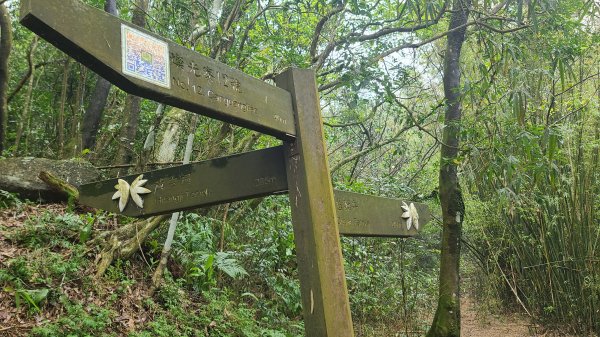 2025-01232淡蘭古道北二段(燦光寮古道到澳底)2696634