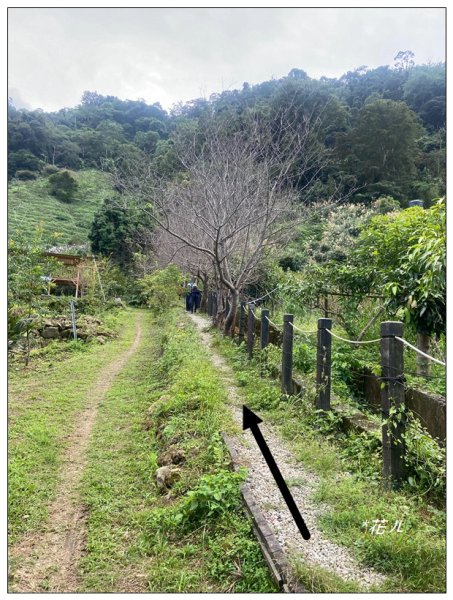 埋伏坪山步道(台中、和平)2658497