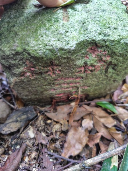 達娜伊谷-里美避難步道-巨石板步道-約富霓2788538