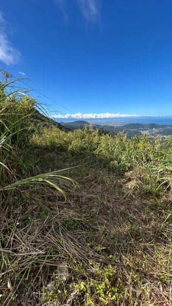 蘇澳東澳嶺猴椅山2970954