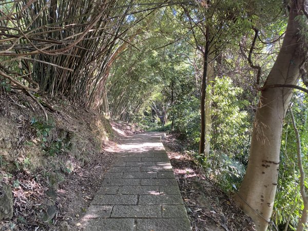 【四獸山攻略】虎豹獅象 O 型環走！完整四獸山輕鬆路線全收錄2906433