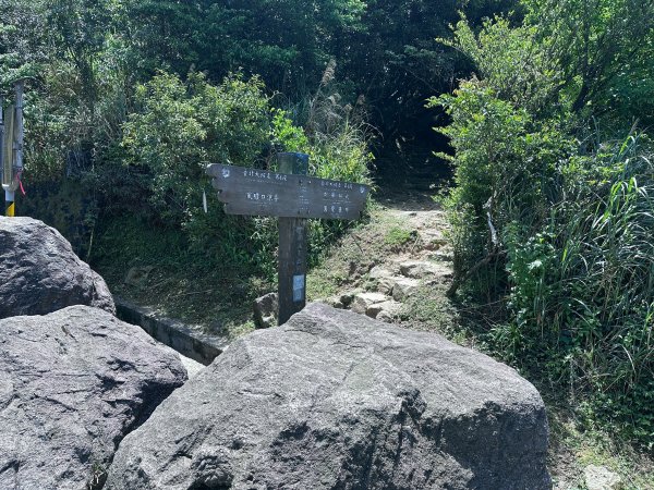 台北大縱走第四段2766840